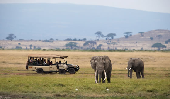 Amboseli in Kenya