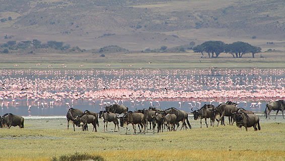 Lake Manyara in Tanzania