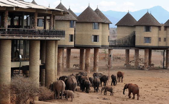 Taita Hills, Kenya