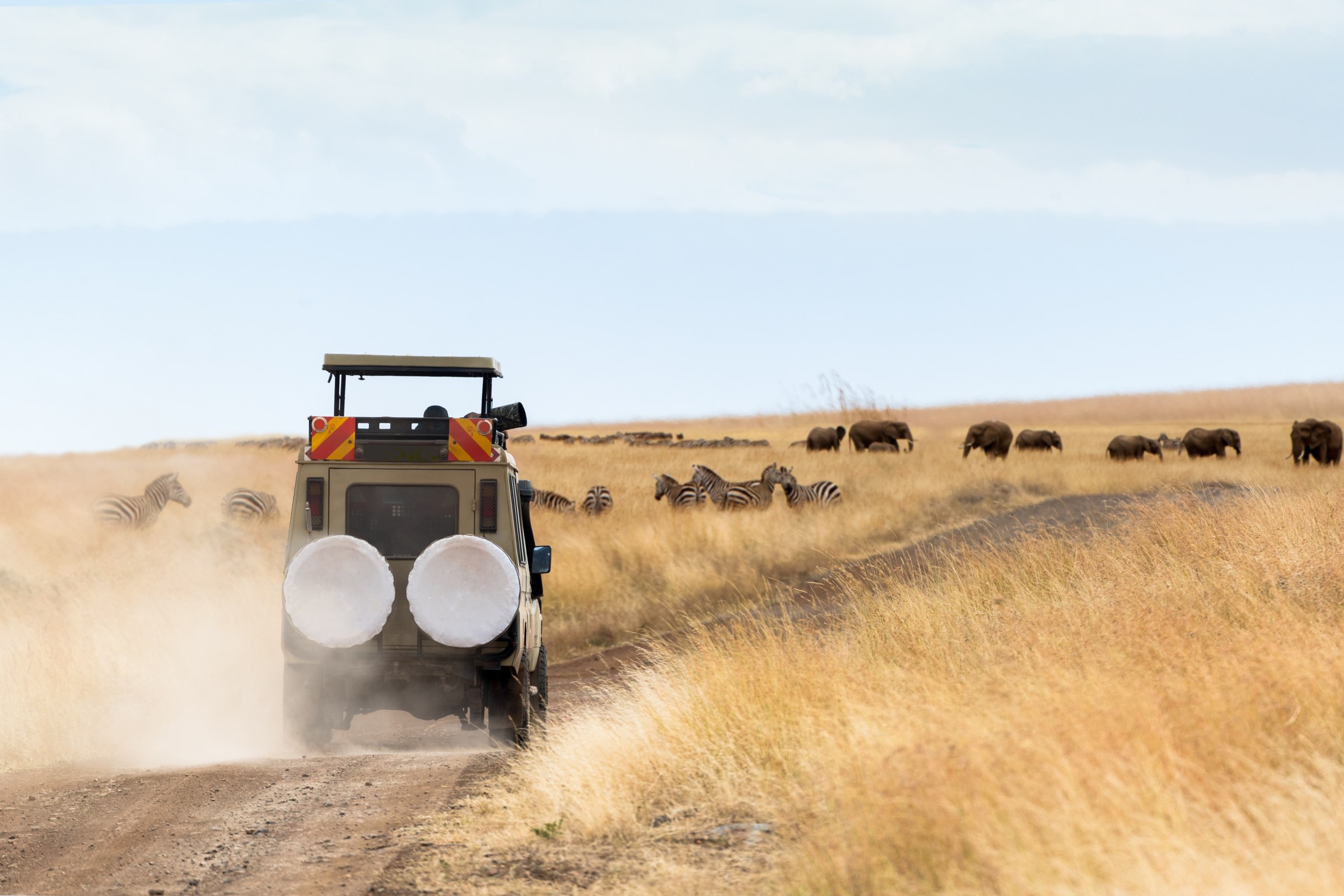 Travellers and their guide beside a safari vehicle