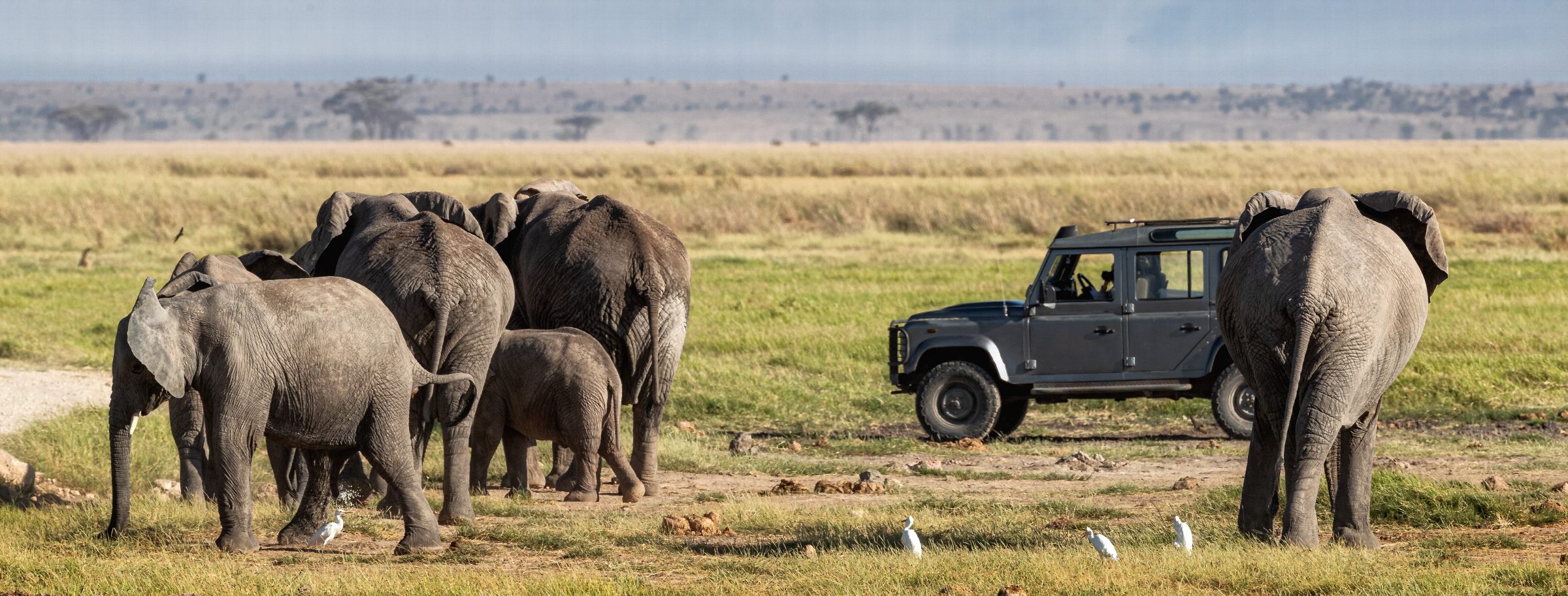 9-Days/8-Nights Kenya Wildlife Safari Tour Package