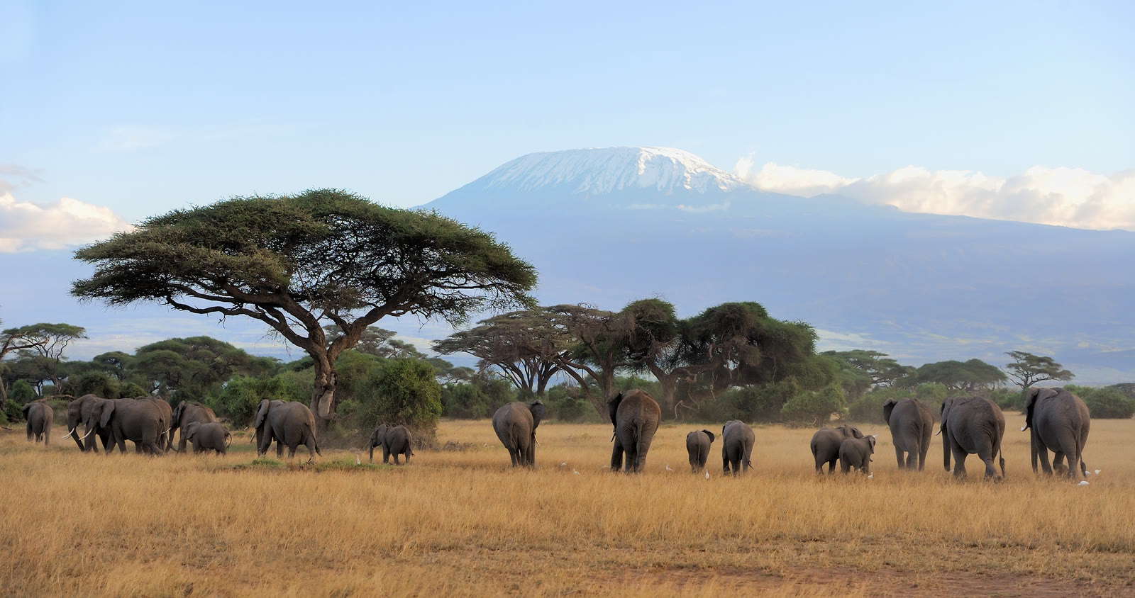 Nairobi to Mombasa Safari: Amboseli, Tsavo West and Tsavo East