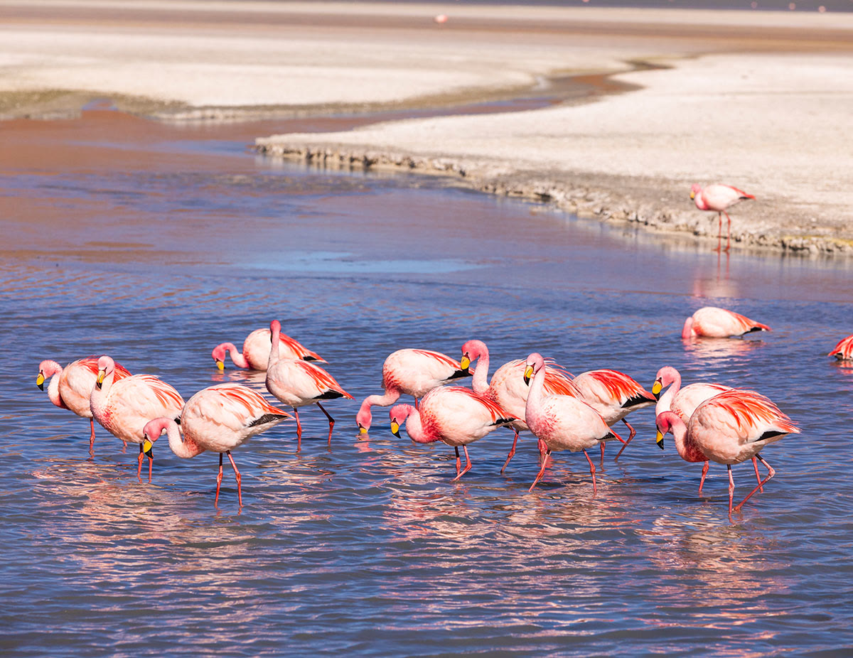 Lake Naivasha, Kenya