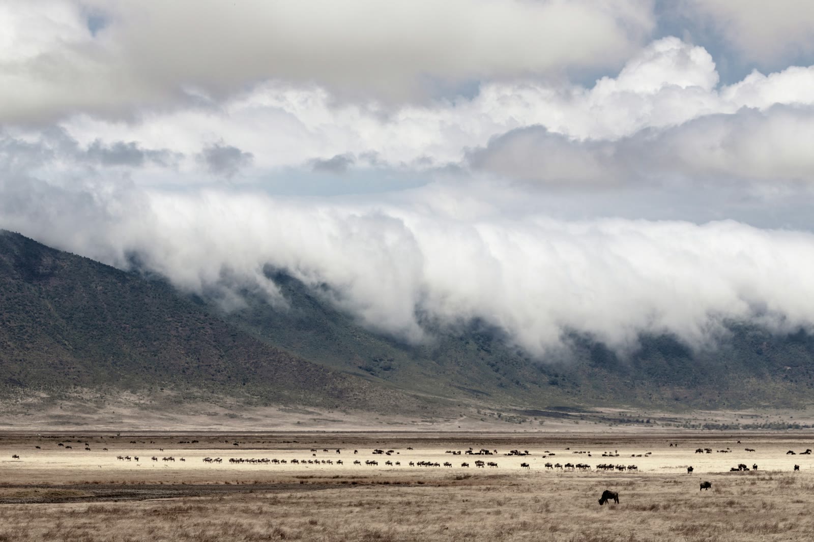 10-Day Kenya and Tanzania Safari Combined Package