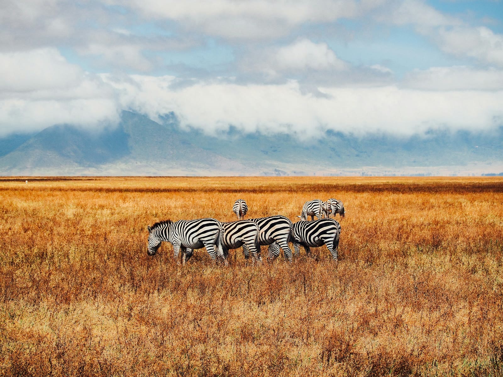 Ngorongoro in Tanzania